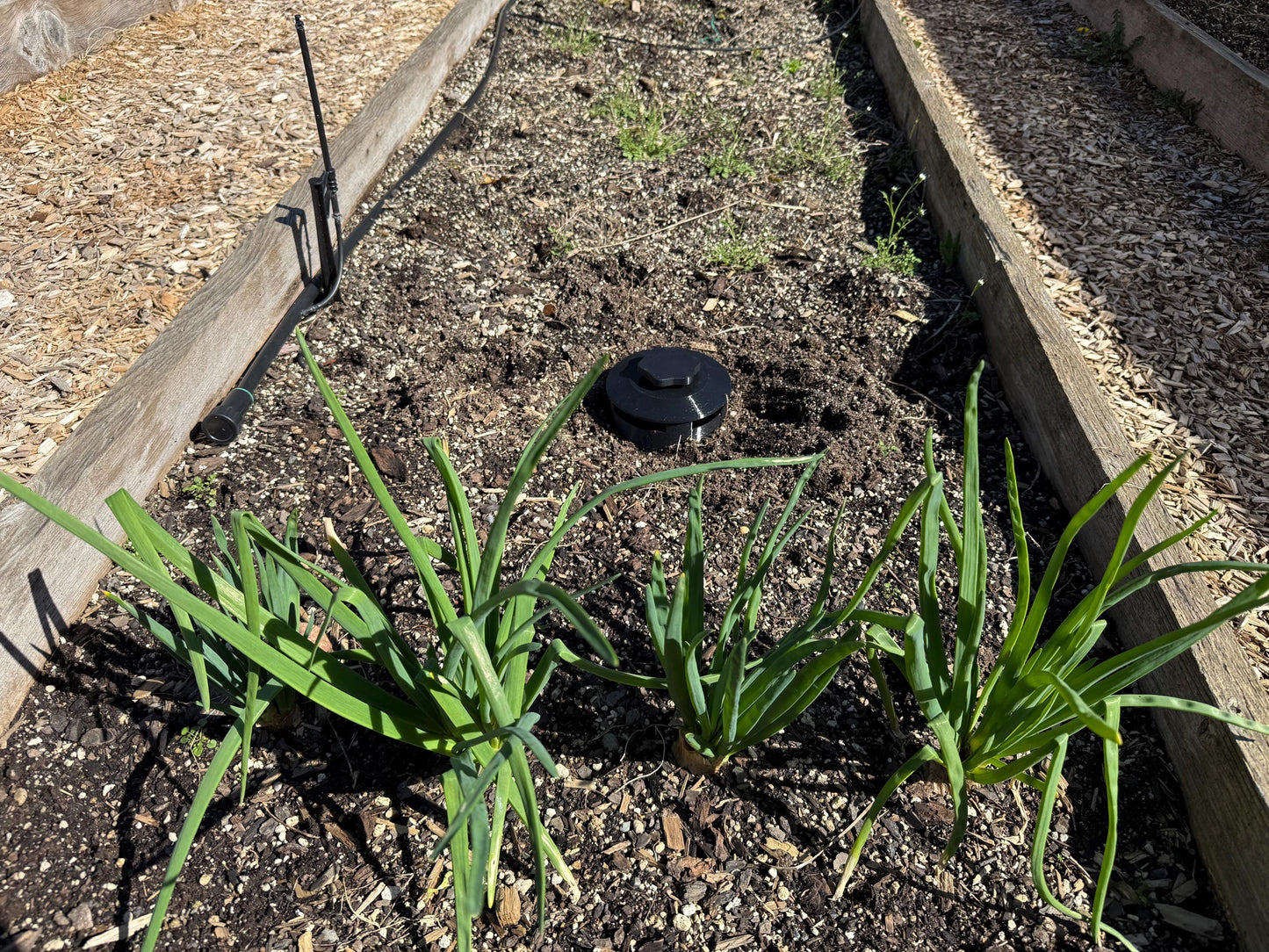 3-D printed Slug Trap for PNW Gardeners